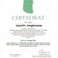 Powiększ obraz: certificate 12