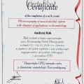 Powiększ obraz: certificate 4