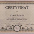 Powiększ obraz: certificate 5