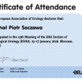 Powiększ obraz: certificate 26