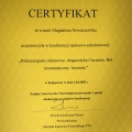 Powiększ obraz: certificate 7
