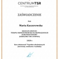 Powiększ obraz: certificate 2