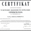 Powiększ obraz: certificate 26