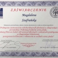 Powiększ obraz: certificate 6