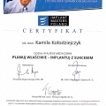 Powiększ obraz: certificate 9