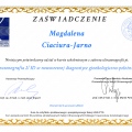 Powiększ obraz: certificate 8