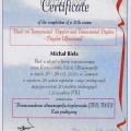 Powiększ obraz: certificate 4
