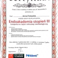 Powiększ obraz: certificate 4