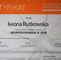 Powiększ obraz: certificate 6