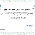 Powiększ obraz: certificate 11