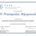 Powiększ obraz: certificate 14
