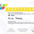Powiększ obraz: certificate 28