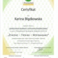 Powiększ obraz: certificate 20
