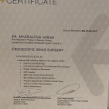 Powiększ obraz: certificate 1