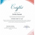 Powiększ obraz: certificate 4