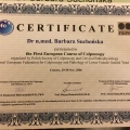 Powiększ obraz: certificate 10