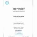 Powiększ obraz: certificate 9