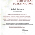 Powiększ obraz: certificate 15