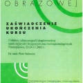 Powiększ obraz: certificate 94