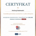 Powiększ obraz: certificate 27
