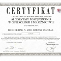 Powiększ obraz: certificate 3