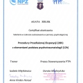 Powiększ obraz: certificate 11