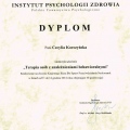 Powiększ obraz: certificate 2