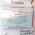 Powiększ obraz: certificate 13