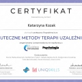 Powiększ obraz: certificate 8