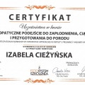 Powiększ obraz: certificate 5