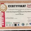 Powiększ obraz: certificate 1