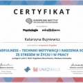 Powiększ obraz: certificate 10