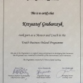 Powiększ obraz: certificate 15
