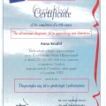 Powiększ obraz: certificate 42