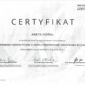 Powiększ obraz: certificate 1