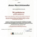 Powiększ obraz: certificate 2