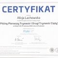 Powiększ obraz: certificate 4