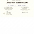 Powiększ obraz: certificate 20