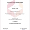 Powiększ obraz: certificate 11