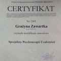 Powiększ obraz: certificate 3