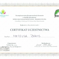 Powiększ obraz: certificate 41