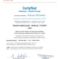 Powiększ obraz: certificate 4