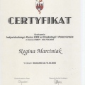 Powiększ obraz: certificate 5