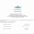 Powiększ obraz: certificate 21