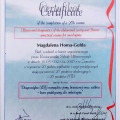 Powiększ obraz: certificate 47