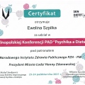 Powiększ obraz: certificate 46
