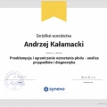 Powiększ obraz: certificate 26