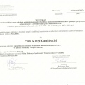 Powiększ obraz: certificate 6