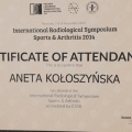 Powiększ obraz: certificate 4