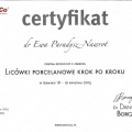Powiększ obraz: certificate 8